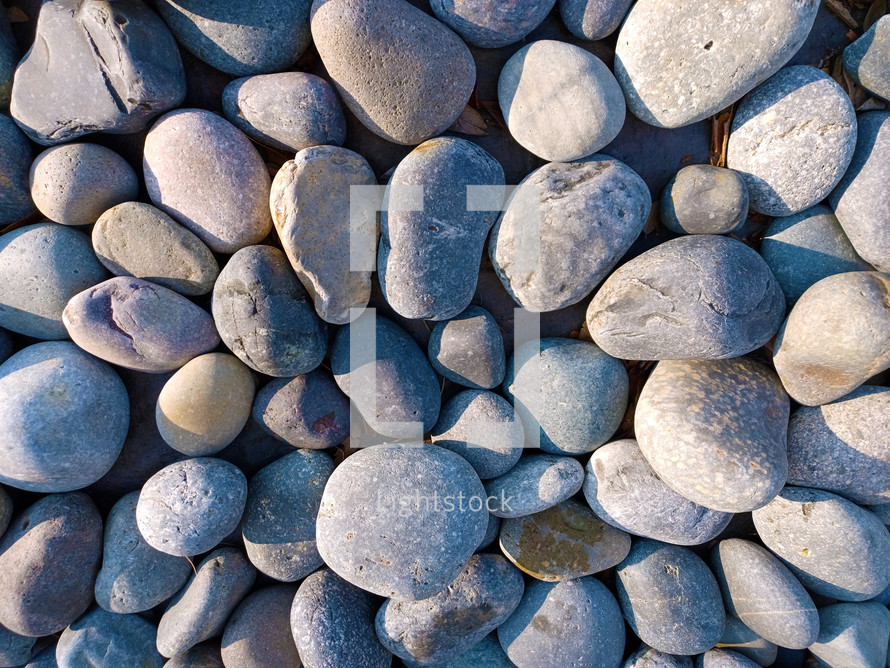 Rocks covering the ground making rocky terrain. 