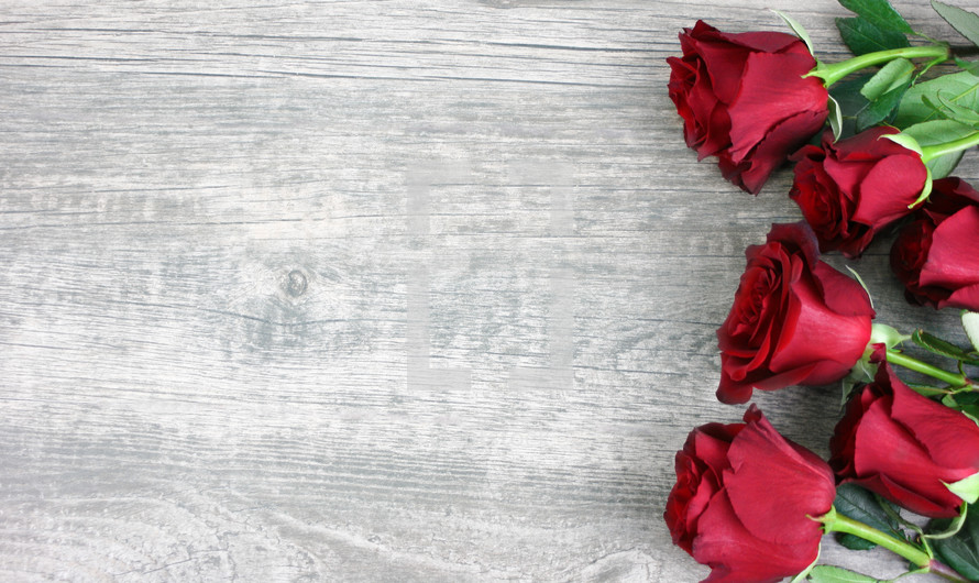 red roses on a wood background 