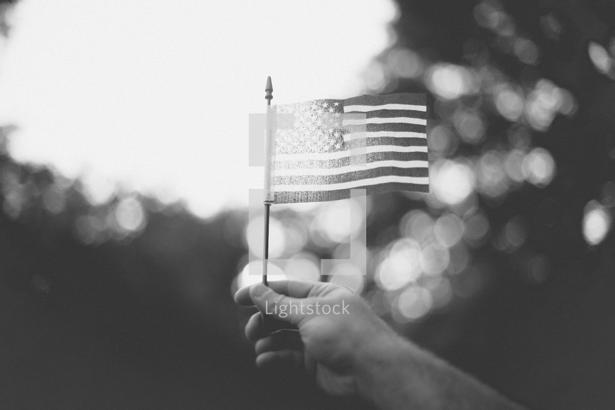 hand holding up an American flag 