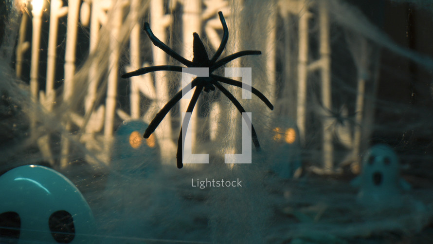 Horror Spider On Web For Halloween