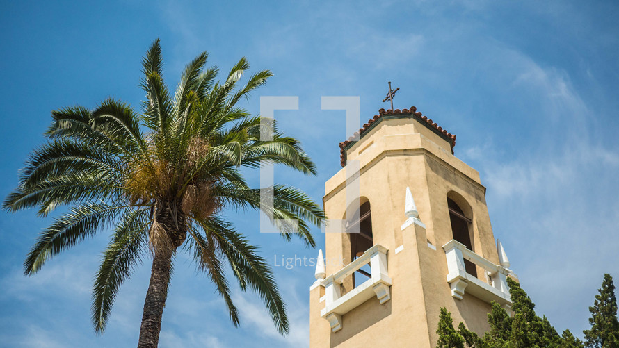 church bell tower and palm tree 