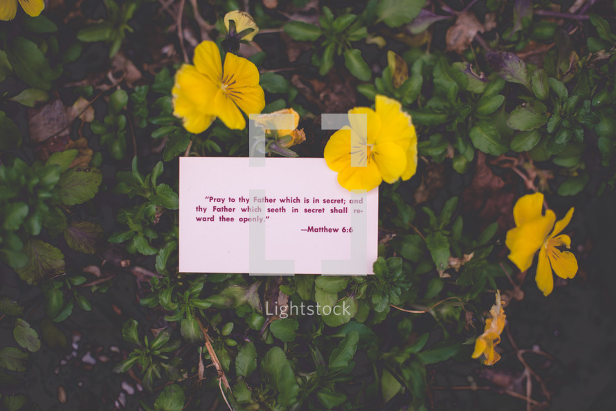 A scripture on a white card among yellow flowers.
