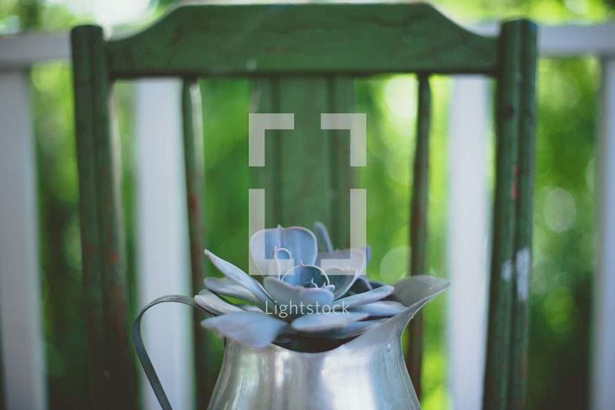 silver pitcher with succulent plant 