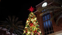 decorated Christmas tree and palm trees outdoors at night