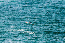 man in a kayak in the ocean 