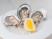 Fresh oysters with lemon on white plate in restaurant. Natural light