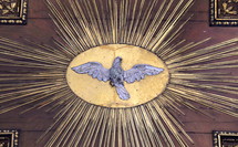 Dove representing the Holy spirit 