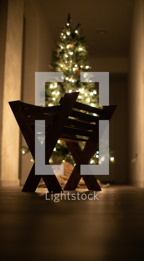 manger in front of a Christmas tree 