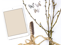 ipad, pussy willow, butterfly, and feather 