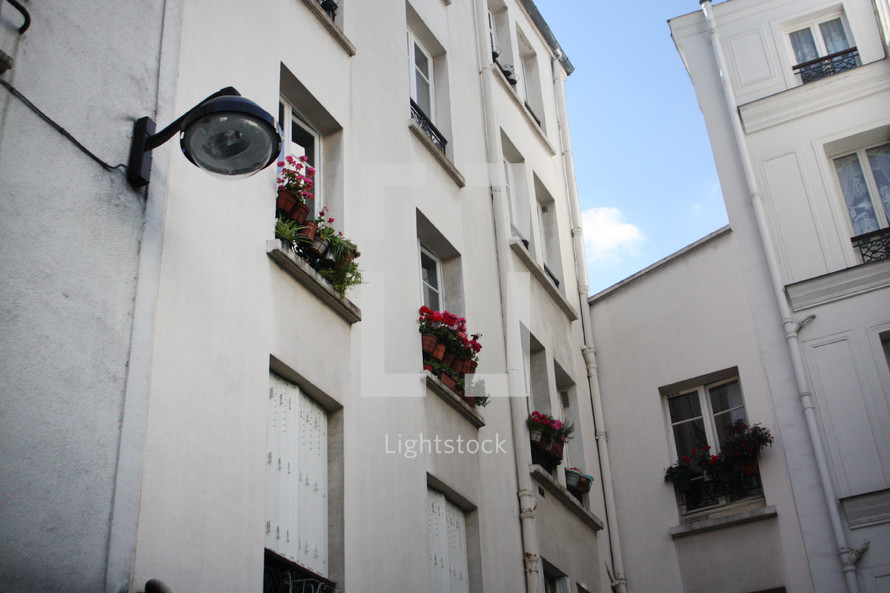 flower boxes in windows in Paris 