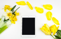 daffodil, flowers, spring, bouquet, iPad, tablet, yellow flowers, yellow, white background