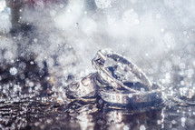 wedding rings in falling rain 