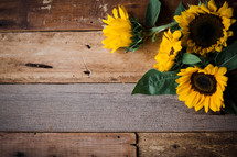 sunflowers on wood boards 