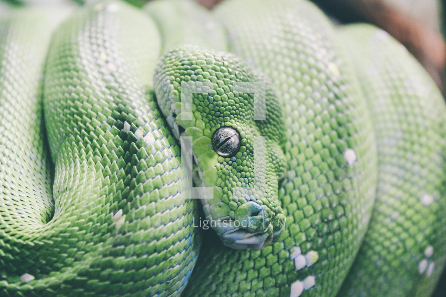 python 