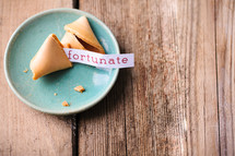 fortune cookie - fortunate 