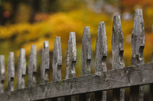 weathered wood fence in fall 