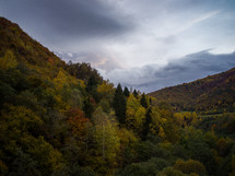 Hills of autumn trees
