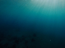 sunlight shining under water 