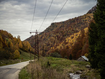 Road through fall trees and hills with power lines