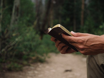 man reading a Bible outdoors 