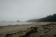 foggy beach 