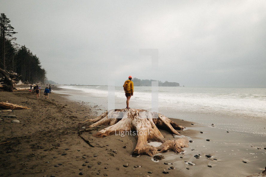 people standing near driftwood on a beach 