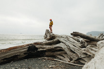 a woman standing on driftwood on a beach 