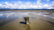 old wooden piling in wet sand 