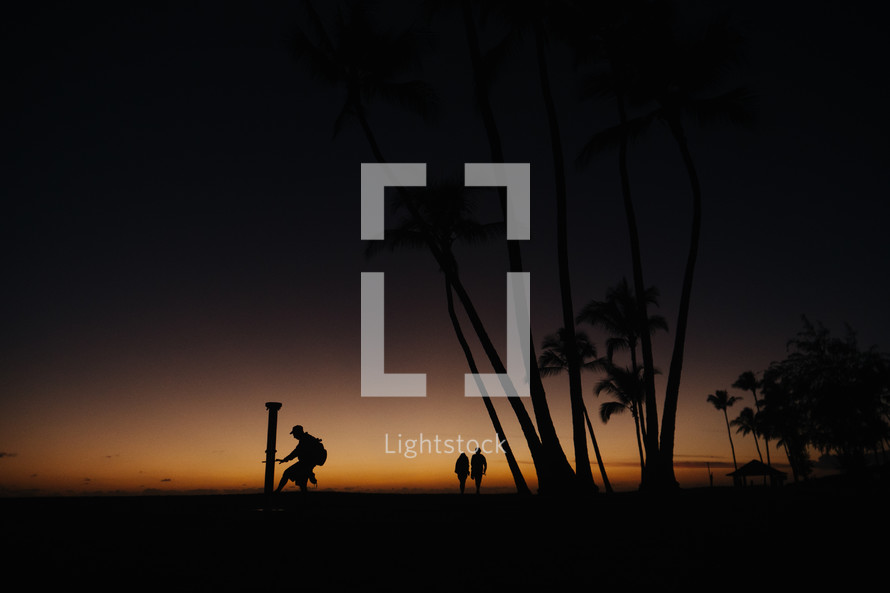 silhouettes of people and palm trees 