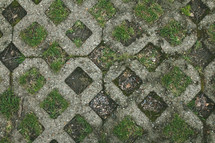 concrete pavers and grass 