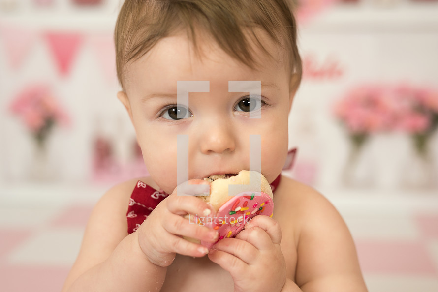 an infant eating a cookie 