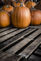 Pumpkins on wooden pallets.