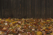 Fall leaves on ground by picket fence