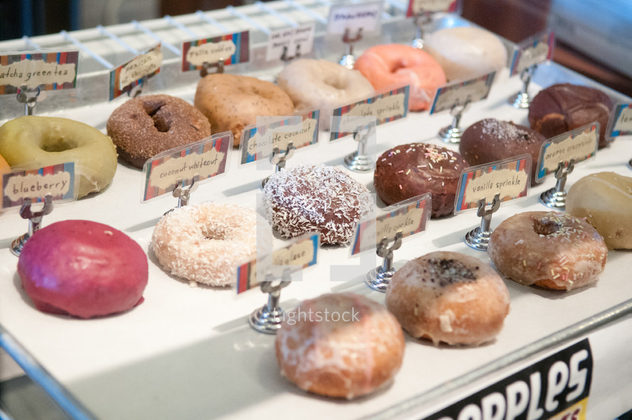 donuts in a donut shop window display