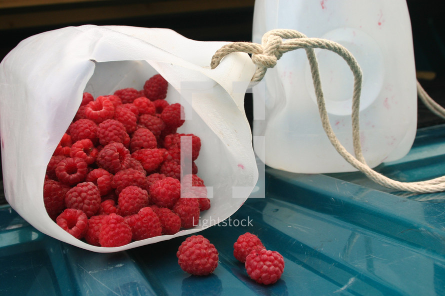 a bucket of raspberries 