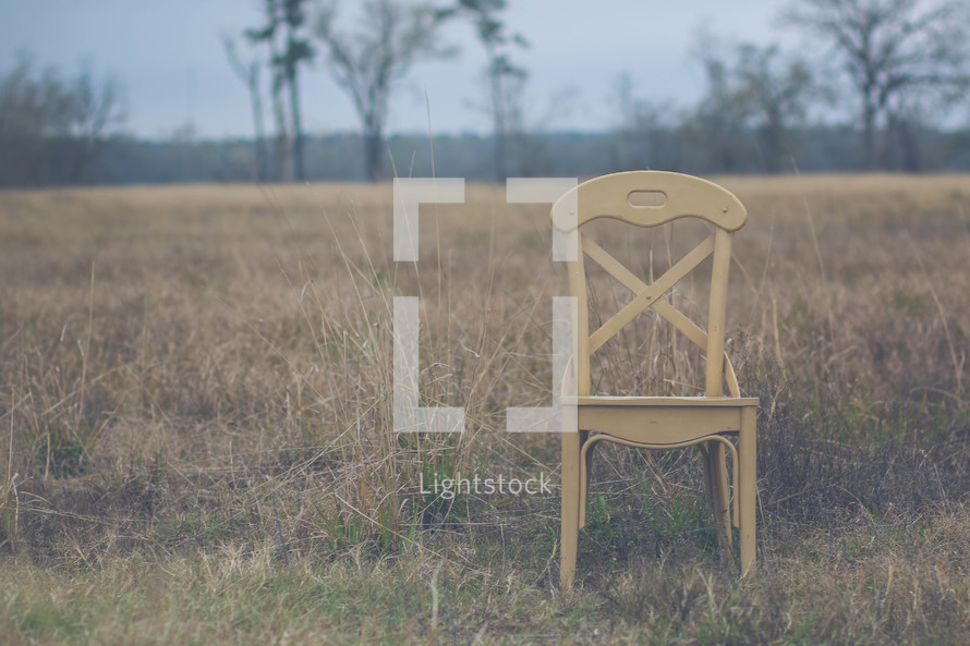 chair in a field 