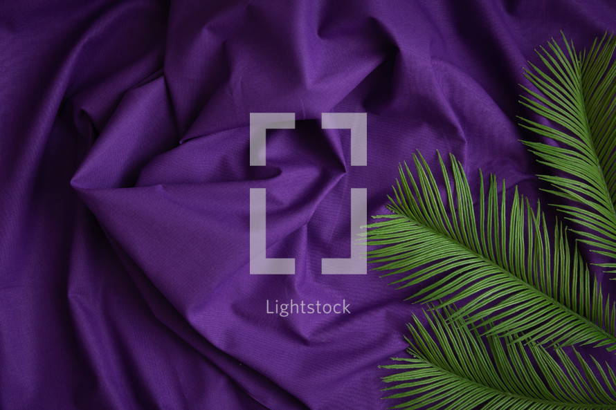 Palm leaves on a purple cloth background 