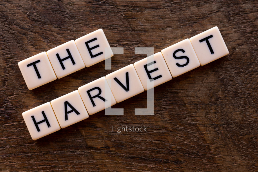 The Harvest 