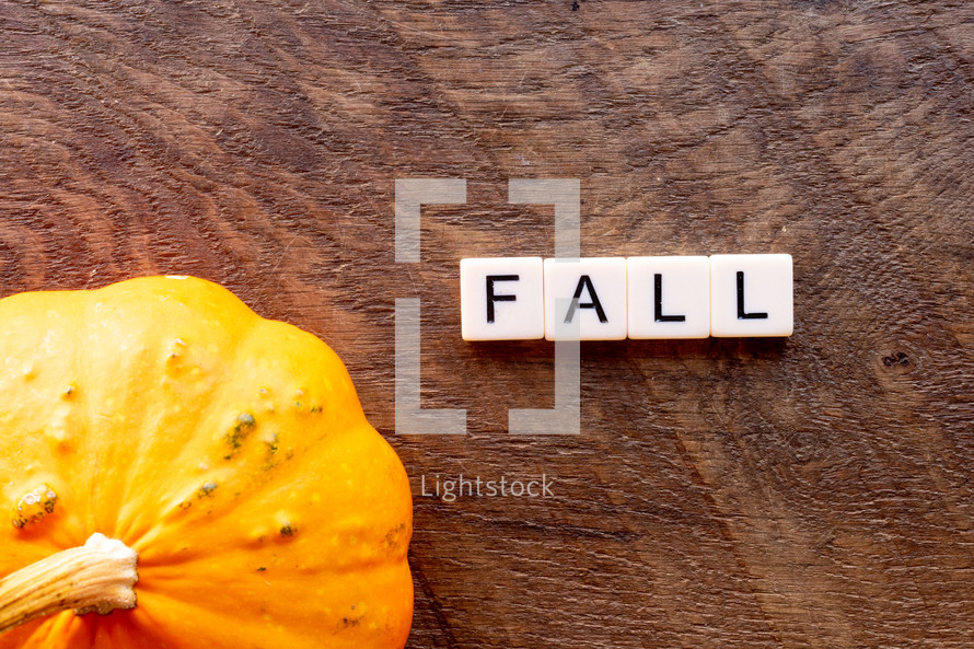 fall pumpkin 