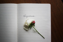 word forgiveness in a notebook 