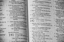 Bible open to Psalm 142.