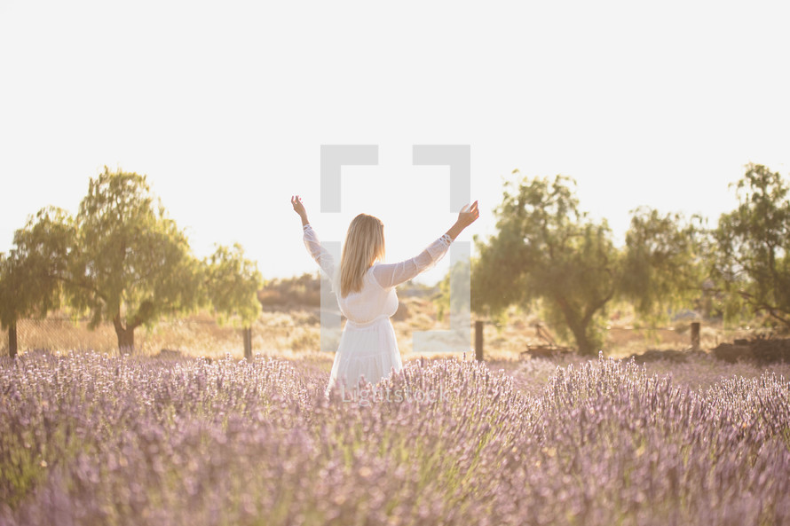 a woman walking in a field of lavender 