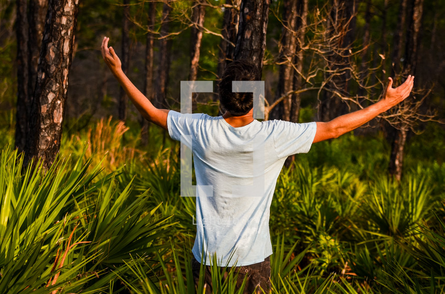 man standing in a field of palms with his arms raised 