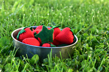 bowl of strawberries in clover 
