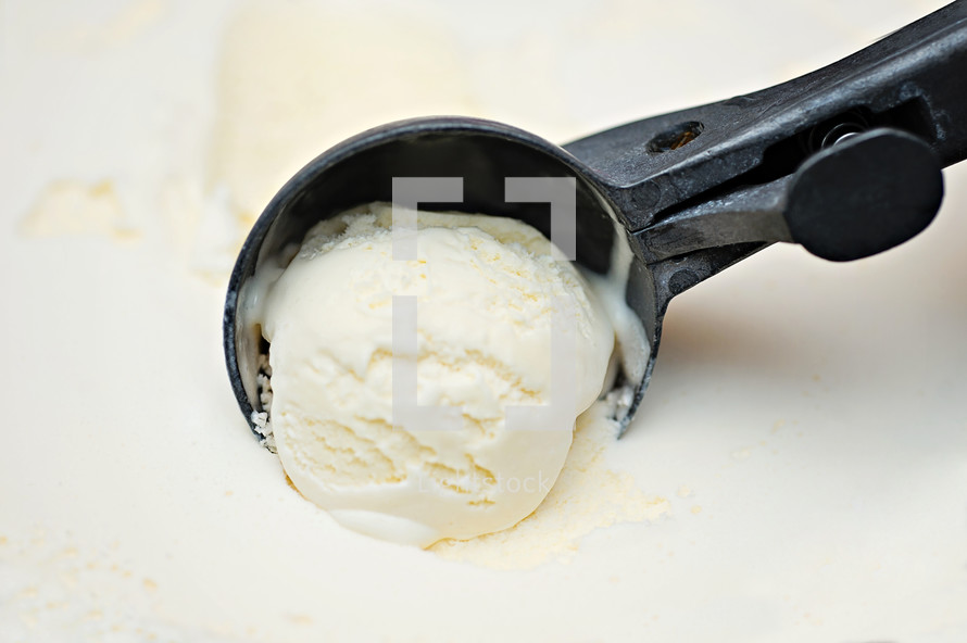 scoop of vanilla ice cream 
