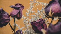 dried roses 