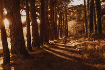a girl in a coat walking on a path in a forest 