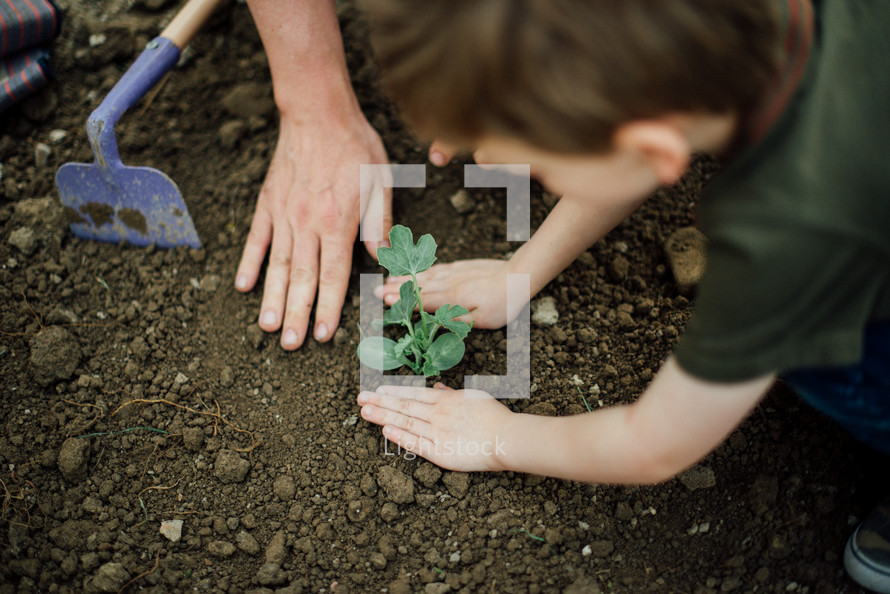 A boy child planting a garden 