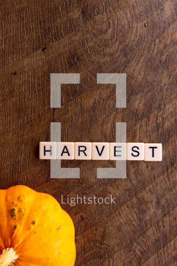 harvest 