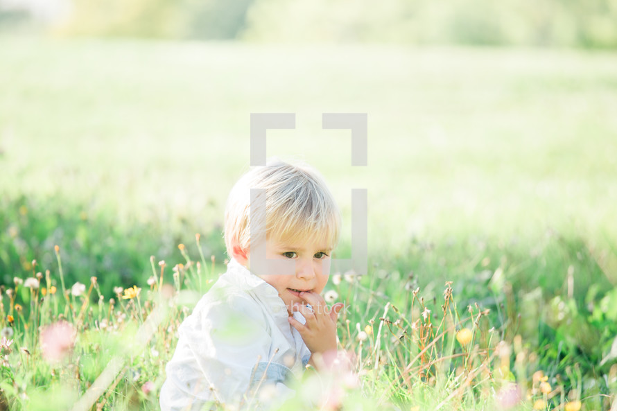a toddler boy sitting in tall grass 